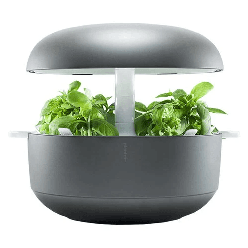 Plantui